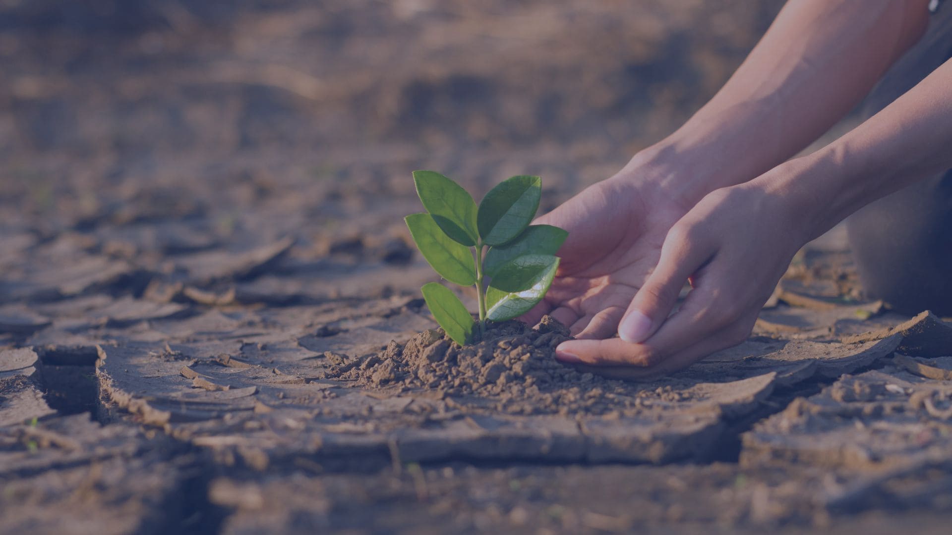 giornata mondiale dell’ambiente