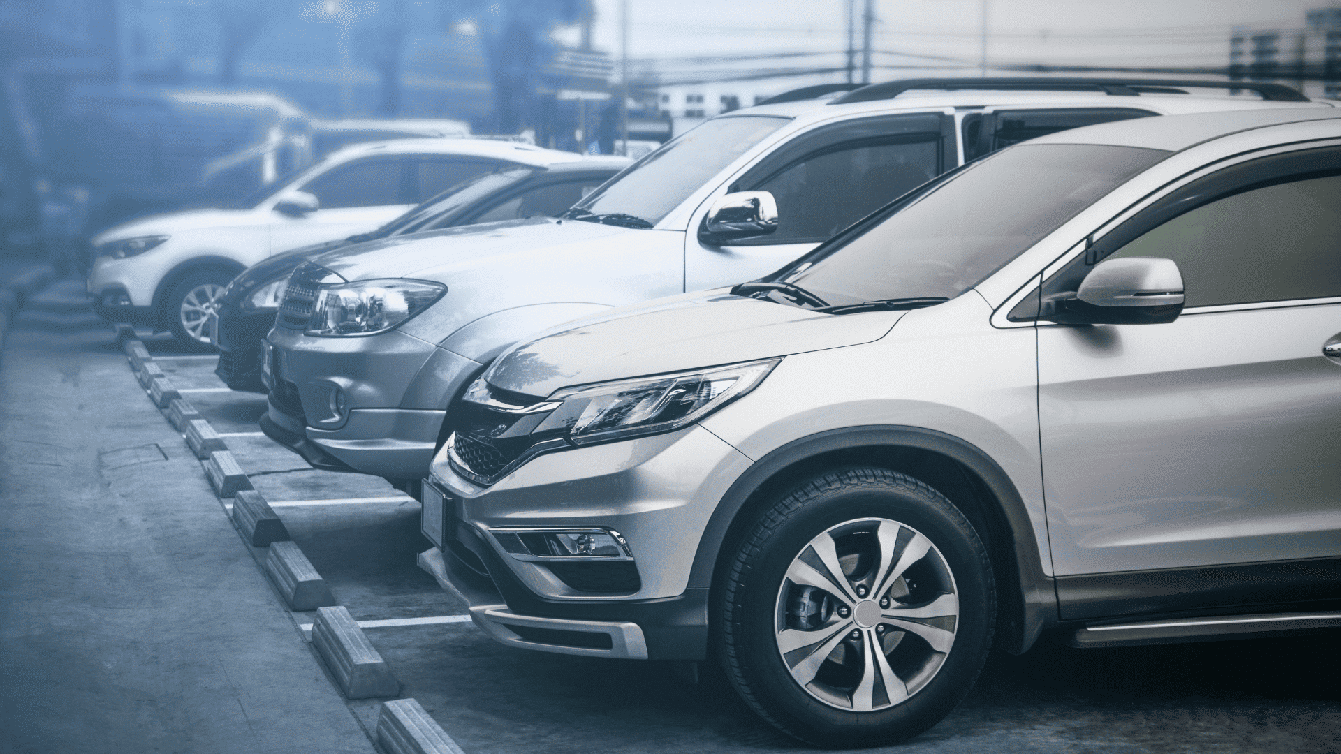 Mercato Auto Italia